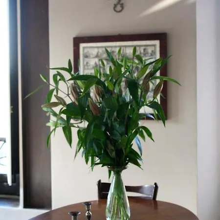 Acacia Cumino-cannella-curry Apartment Florence